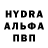 А ПВП крисы CK Lida Abram