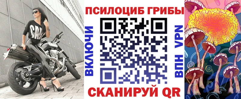 Галлюциногенные грибы мицелий  цена наркотик  Холмск 